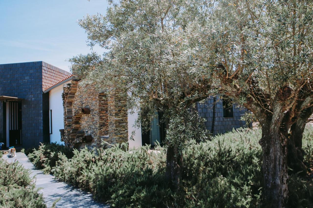 Gasthaus Casas da Fontanheira Marvão Exterior foto